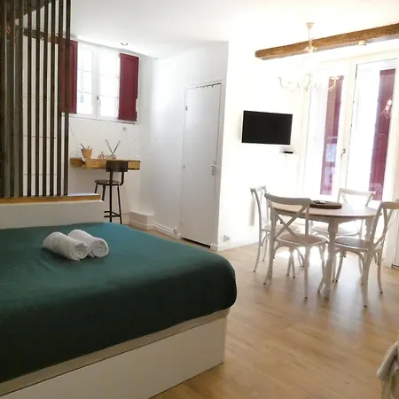 Petit Chateau Rouge - Hypercentre - Renove * Nantes