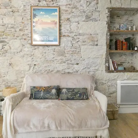 Petit Chateau Rouge - Hypercentre - Renove Appartement Nantes